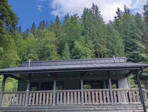 Тишина гір Над потоками