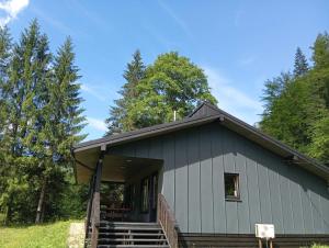 Тишина гір Над потоками