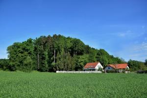 Luksuzna podeželska hiša blizu vinske ceste