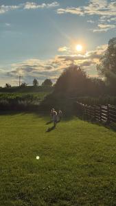 Agroturystyka Ładne Pole