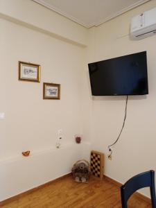 ΔΙΑΜΕΡΙΣΜΑ ΣΤΟ ΚΕΝΤΡΟ