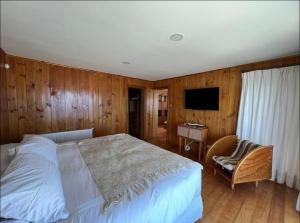 Pedal Paradise Tongoy