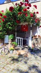 Adahan Otel Bozcaada