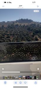 فيلا مفروشه ومزرعه للايجار