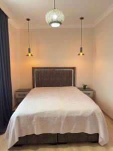 Tskaltubo Kolkheti Apartment