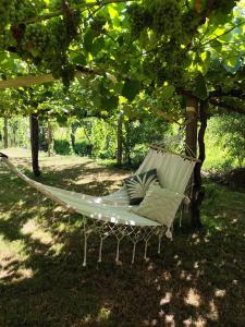 Viña da Igrexa, casa con jardin y barbacoa en cambados