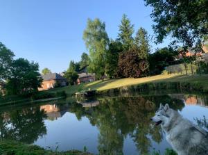 La parenthèse verte