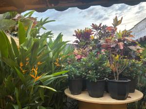 HOTEL CASA VANIA MOMPOX, Centro histórico, Con Parqueadero en el Hotel