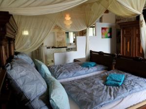 Secluded fishermans cottage Cove Sveti Ante, Hvar - 24817