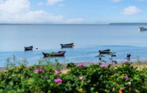 Stunning Apartment In Esbjerg V With Wifi