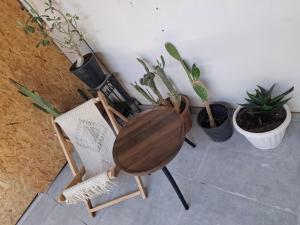 peace&love - Unrated properties in Eilat