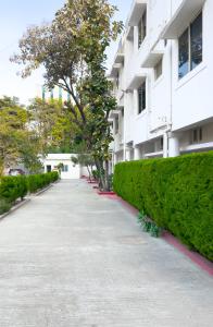 The Pinnacle - Electronic City