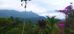 Grande y hermosa casa de tapia
