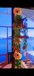 Sumac wasi lodge uros