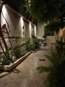 Hostal Espacio Lienzo