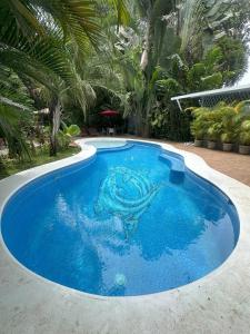 Tree House-2 Bedrooms & AC-2 Pools-jungle-Beach-WiFi-TV