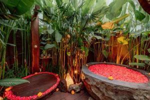 Balikayanas - Saputra House