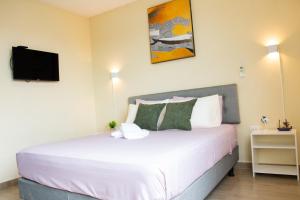 KAIRO , una suite nomada