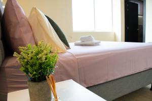 KAIRO , una suite nomada