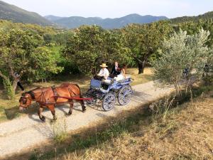 Domaine de Provensol