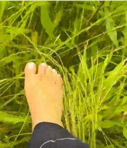 Peaceful Home in the Center of Tartu