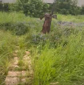 Peaceful Home in the Center of Tartu