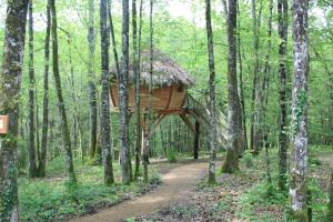 Campings La Buissonniere - Lodges & SPA : photos des chambres