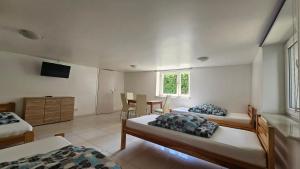 Agroturystyka Wręcza