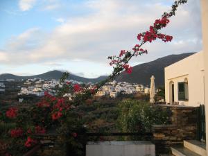 Apollon-Artemis Apartments Sifnos Greece