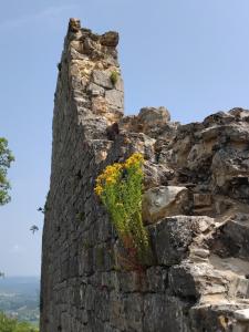 Maisons de vacances PAULAGITE de 2 a 4 pers, vue sur la Dordogne, proche de Padirac et Rocamadour : photos des chambres