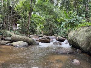 Brookside Nest- Lower Floor