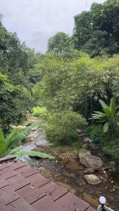 Brookside Nest- Lower Floor