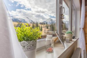 Privat Gazda Pension