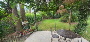 Appartements Studio avec terrasse et tonnelle : photos des chambres