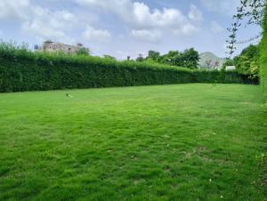 Nature Retreat Resorts- Life in Nature