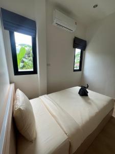 Villa Coco Pool Villa Krabi