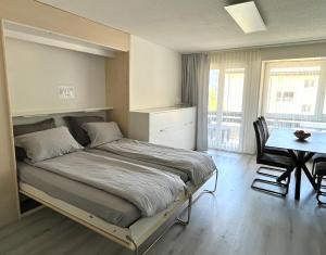 Siesta - renovated duplex in Leukerbad