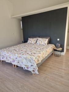 Villa de luxe MASADRIM aux portes dUzès