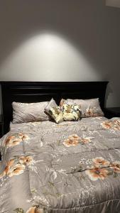 شقة فندقية غرفه وصاله بالنقره