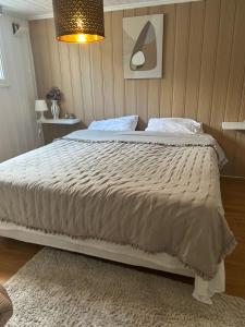 Basement Apartment -Ås Ski