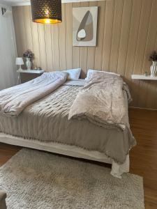 Basement Apartment -Ås Ski