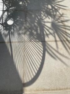 Camellia Residencies Colombo Sri Lanka