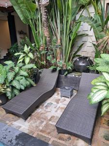 SURFARIS INN on poppies 2