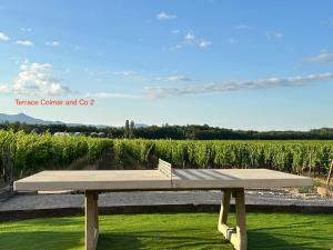 Maisons de vacances COLMARandCo au coeur des vignes : photos des chambres