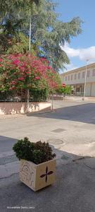 Eremo degli Artisti img21