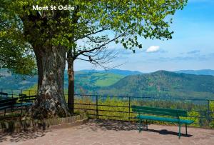 Campings Camping ClicoChic Au Clair Ruisseau : photos des chambres