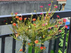 Tam Coc Gold Smile Homestay