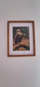 Sielanka Wydmy i Las