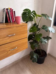 Snehals Homestay