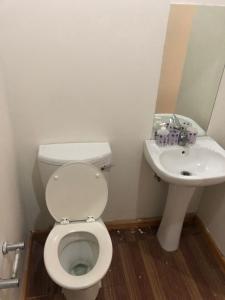 Linaste at Colosseum